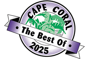 Best-of-CC-2025-up