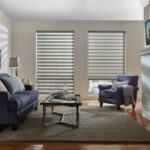 Motorized Shades